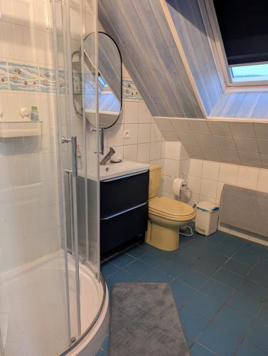 une salle de bain avec une douche, des toilettes et un lavabo dans l'établissement Blue House, à Hérimoncourt