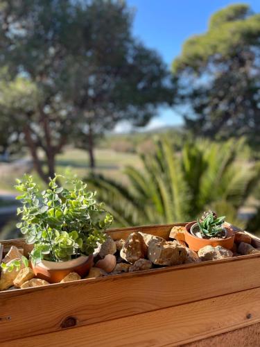 Appartement 5 pers à louer à Port-Fitou