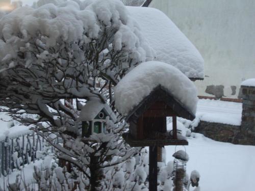 a bird house and a tree covered in snow at Eifelferienwohnungen "Familie Saxler" in Bereborn