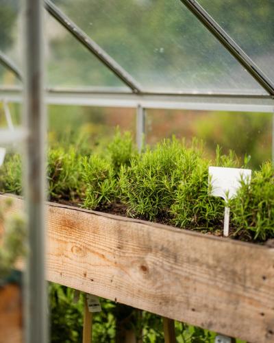 a greenhouse filled with plants in a wooden box at Dosłońce Resort Wellness & Farm in Racławice