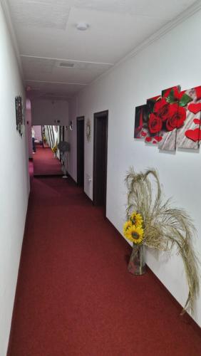 a hallway with a red carpet and a vase of flowers at Motel Dreams in Novi Travnik