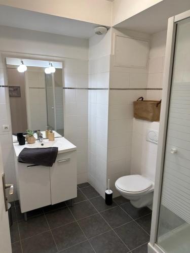 une salle de bain avec toilettes, lavabo et miroir dans l'établissement L'escapade du Gros Horloge, à Rouen