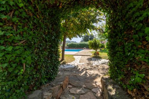 an ivy covered hallway leading to a swimming pool at Residenza Melissa, appartamenti in Jerzu