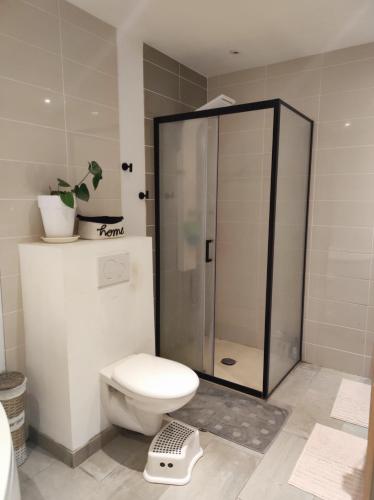 La salle de bains est pourvue de toilettes et d'une douche à échelle. dans l'établissement Magnifique villa au coeur de la Provence, à Peyruis