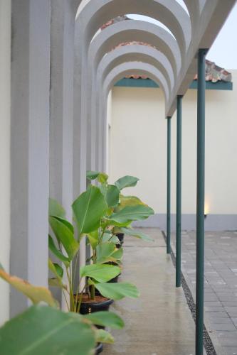 a row of columns with plants on a building at Agung Guest House by RF in Timuran