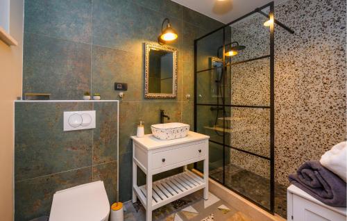 a bathroom with a shower with a toilet and a sink at Stunning Home In Drace in Drače