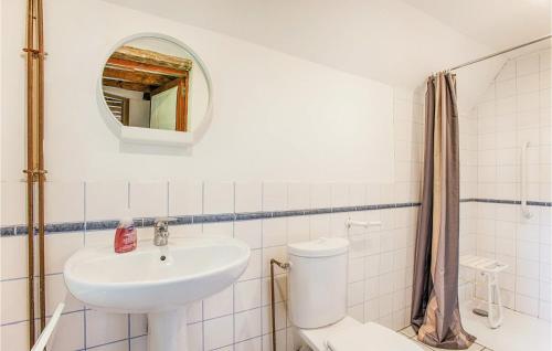 a bathroom with a sink and a toilet and a mirror at Amazing Home In St Pierre En Auge in Vieux-Pont-En-Auge