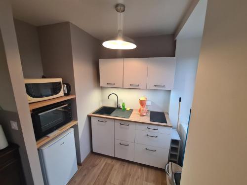 une petite cuisine avec un évier et un micro-ondes dans l'établissement Superbe appartement, à Granville