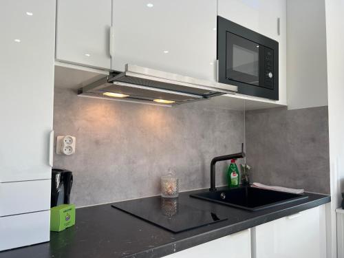 une cuisine avec un évier et un micro-ondes dans l'établissement Nice Studio 2 pers Near Basel stationnement gratuit, à Saint-Louis