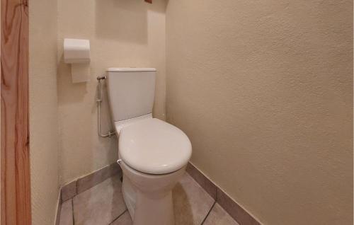 a bathroom with a white toilet in a room at Gite Rural Le Couvent in Riom-ès-Montagnes