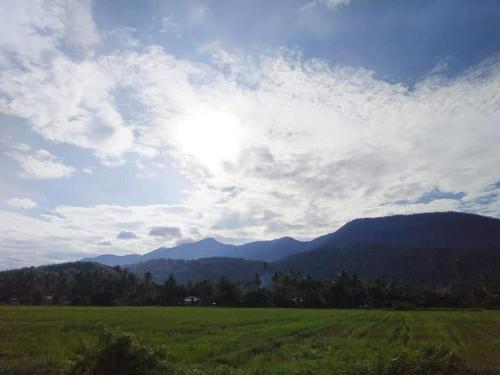 Naturlandskabet i nærheden af den private indkvartering