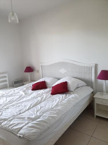 Appartement duplex 6 personnes Cannes Grand Parc