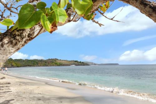 a view of a beach in grenada at Studio confortable à Sainte-Anne 30 m² avec vue mer in Sainte-Anne