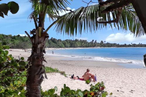 a man sitting on a beach next to the ocean at Studio confortable à Sainte-Anne 30 m² avec vue mer in Sainte-Anne