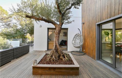 un arbre dans une jardinière sur la terrasse d'une maison dans l'établissement Gorgeous Home In St-Bauzille-De-Montmel, à Buzignargues