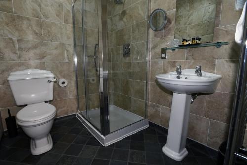 a bathroom with a toilet and a sink and a shower at The Black Boy Inn in Caernarfon