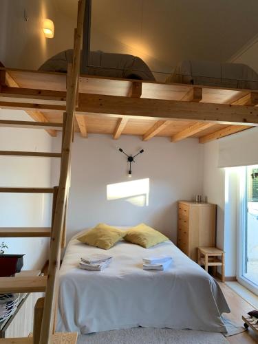 a bedroom with a bunk bed with a ladder at Quinta dos Girassóis FZ in Ferreira do Zêzere
