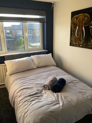 Katil atau katil-katil dalam bilik di The Nest - Cosy Rooms