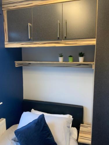 a bedroom with blue walls and a bed with potted plants at The Nest - Cosy Rooms in Harwood