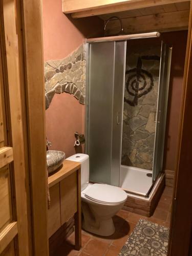 a bathroom with a toilet and a shower at EVC Švýcárna in Adamsthal