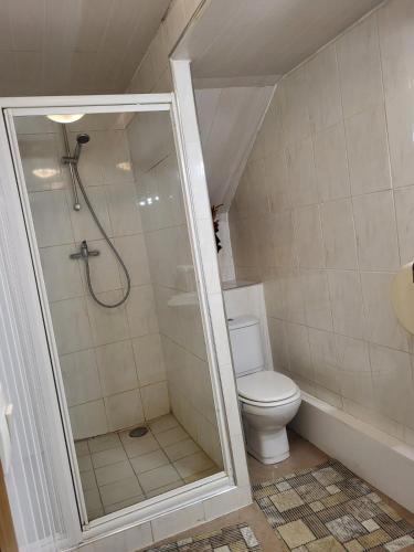 une salle de bain avec douche et toilettes dans l'établissement le pressoir, à Boissise-le-Roi