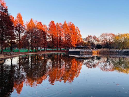 a pond in a park with trees reflecting in the water at Alo BnB 7 - Near IKEBUKURO, SHINJUKU, UENO - Self Check in - OYAMA Sta 3min in Tokyo