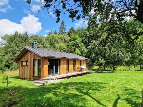 a cabin in the woods with a green yard at Holzhaus mit Kamin - Am Forellenfluss in Heinersdorf