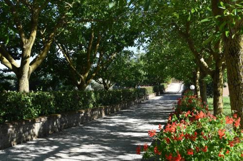 Κήπος έξω από το Agriturismo Le Ginestre LAGO DI BOLOSENA