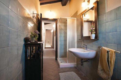 a bathroom with a sink and a walk in shower at collina in Borgo San Lorenzo