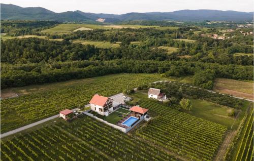 widok z góry na dom w winnicy w obiekcie Beautiful Home In Velika w mieście Velika