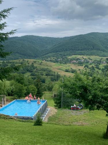 a group of people in a swimming pool in a field at Perlyna Krasiyi in Vyshka