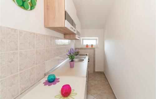 Kuchyň nebo kuchyňský kout v ubytování 1 Bedroom Amazing Apartment In Kolan