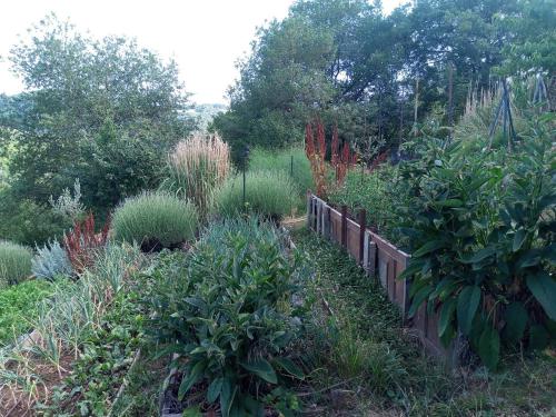Κήπος έξω από το L'Oasis du Bosc