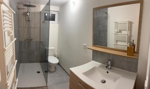 une salle de bain avec un lavabo, une douche et un miroir dans l'établissement T2 pour 5 personnes 1 chambre, à Satolas-et-Bonce