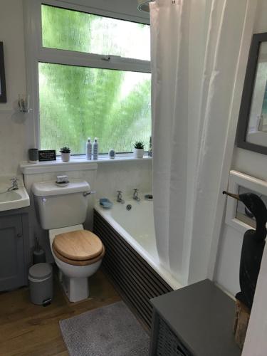 Fuchsia Cottage في Porthallow: حمام مع مرحاض وحوض استحمام مع نافذة