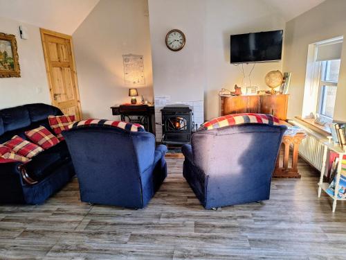 a living room with two couches and a fire place at Lough Lea House, Bunnamuca in Strokestown