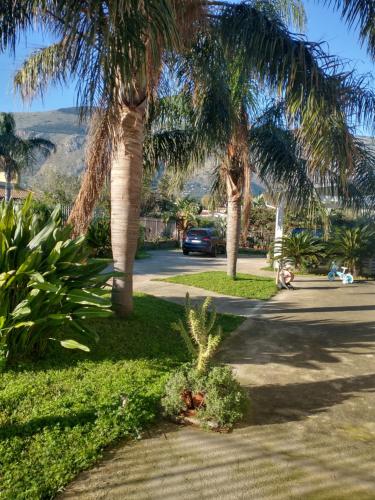 a street with palm trees and a car on the road at Carini house in Carini