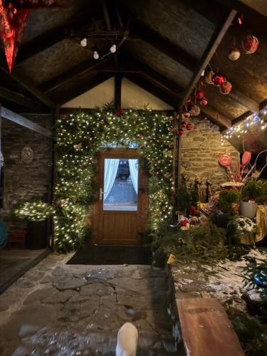 a room with a door and christmas lights at Perlyna Krasiyi in Vyshka