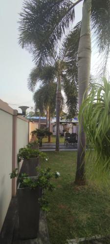 a yard with palm trees and benches and a building at Sella Villa in Seeduwa