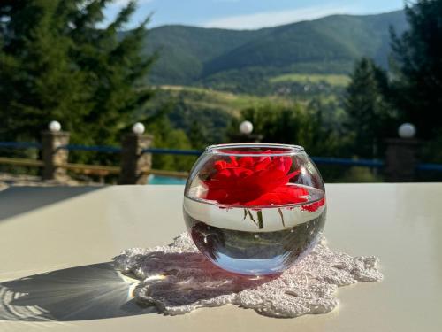 a glass vase with a red flower in it on a table at Perlyna Krasiyi in Vyshka