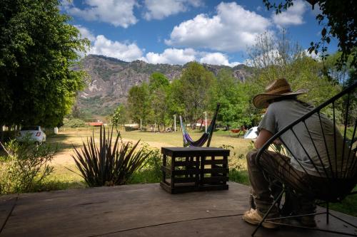 a man sitting in a chair looking at a park at Ekko Hostel in Tepoztlán