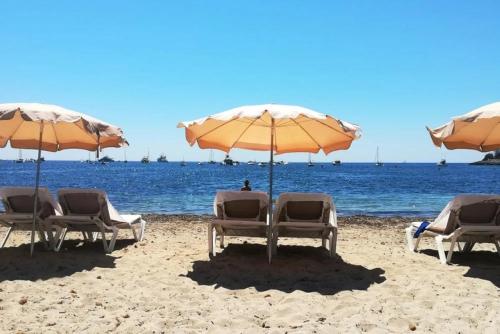 Studio - Suquet Forville