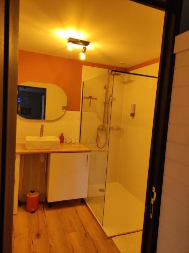 a bathroom with a shower and a sink at La vie est belle in Domjean