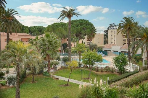 - une vue aérienne sur un parc planté de palmiers dans l'établissement FRGK 