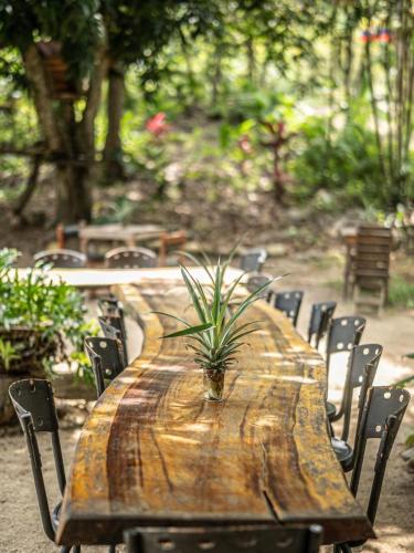 a wooden table with chairs and a potted plant on it at Casa Danam in Santa Marta