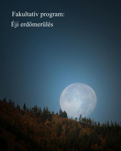 a full moon in the sky over a hill at Palócliget Vendégház in Kétbodony