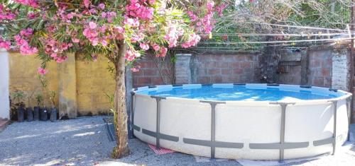 a large tub sitting next to a tree with pink flowers at Hospedaje curicó casa grande in Curicó