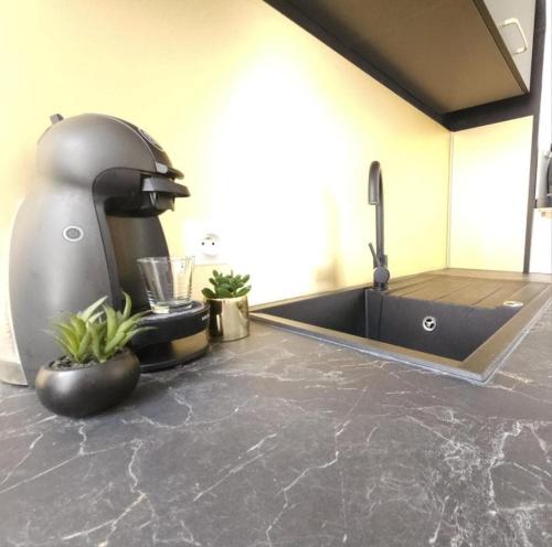 un comptoir de cuisine avec un évier et un mitigeur dans l'établissement L'Instant Chic - Appartement à 5min à pied de Nausicaa, plage, centre Ville, à Boulogne-sur-Mer