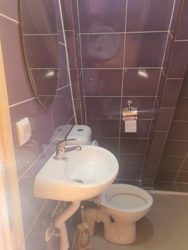 a bathroom with a sink and a toilet at PROKLETIJE COTAGESEe in Plav