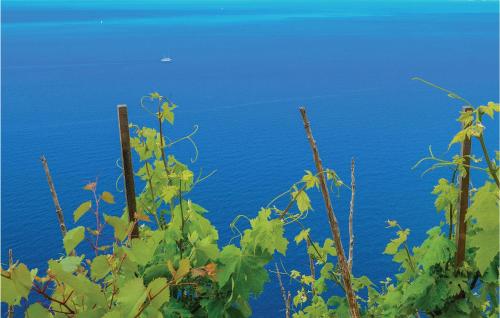 a view of the blue ocean from behind some plants at Holiday Home Zuljana With Sea View I in Žuljana
